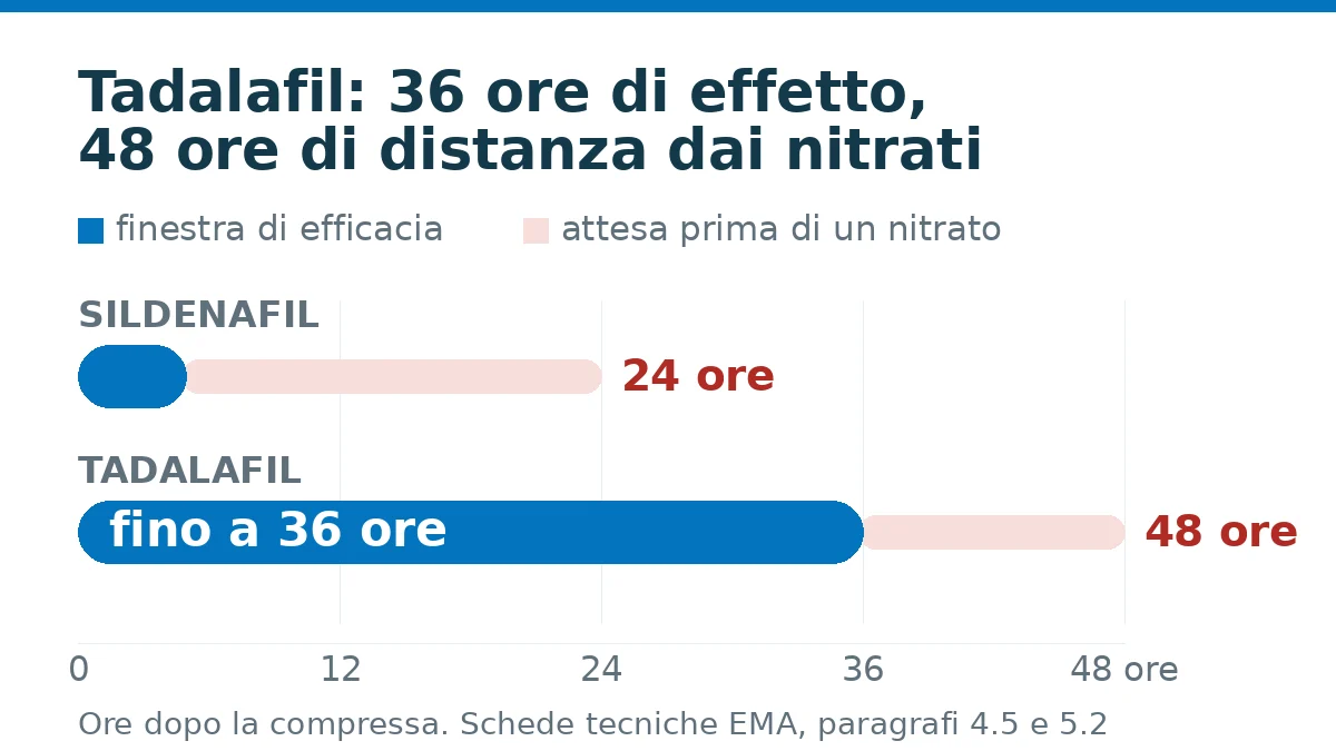 Confronto fra tadalafil e sildenafil: durata dell’effetto e attesa prima di un nitrato